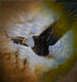 photomania_1455490724.JPG, 14 KB